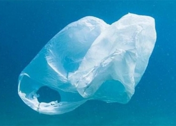 UpM y la UE limpiarán el Mediterráneo de residuos plásticos