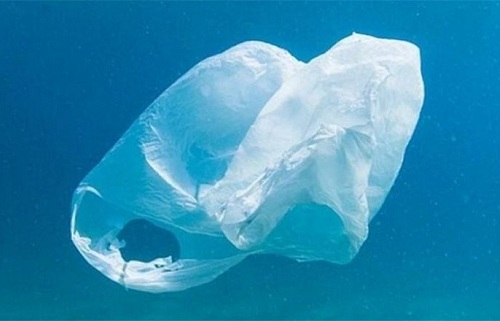 UpM y la UE limpiarán el Mediterráneo de residuos plásticos