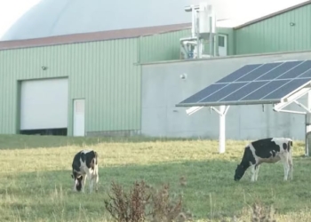 Iberdrola se adjudica cuatro proyectos de innovación agrovoltaicos en Francia