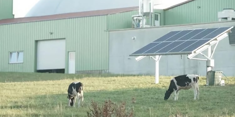 Iberdrola se adjudica cuatro proyectos de innovación agrovoltaicos en Francia
