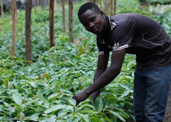 España aporta 25 millones de euros a un proyecto hidrográfico en el este de Ruanda