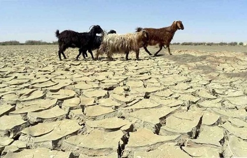 La UpM prevé “migraciones humanas a gran escala” a causa del cambio climático