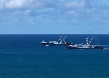 El Gobierno repatría a casi 200 marineros españoles que faenaban en Seychelles