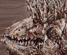 Exposición presencial del artista gráfico ucraniano Iván Marchuk