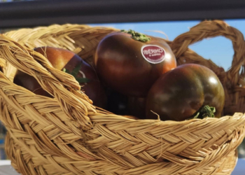 Fotos: Editorial MIC