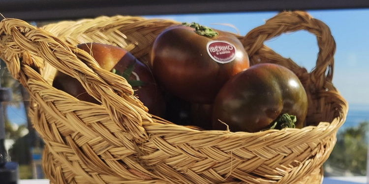 Fotos: Editorial MIC