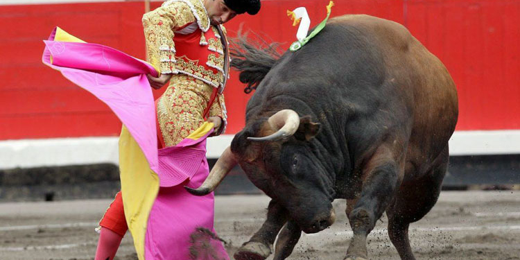 FUENTE DE IMAGENES: Pixabay.com