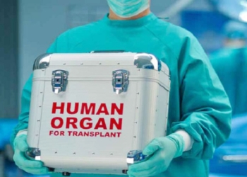 España ratifica el Convenio del Consejo de Europa contra el Tráfico de Órganos