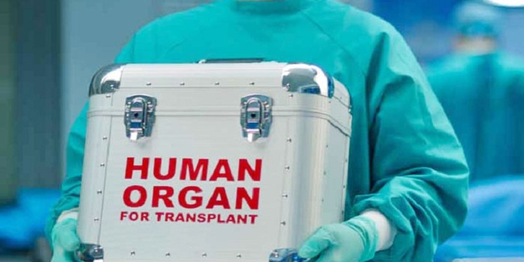 España ratifica el Convenio del Consejo de Europa contra el Tráfico de Órganos