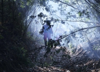 Más de 50 militares españoles combaten contra los incendios en Chile