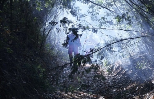 Más de 50 militares españoles combaten contra los incendios en Chile