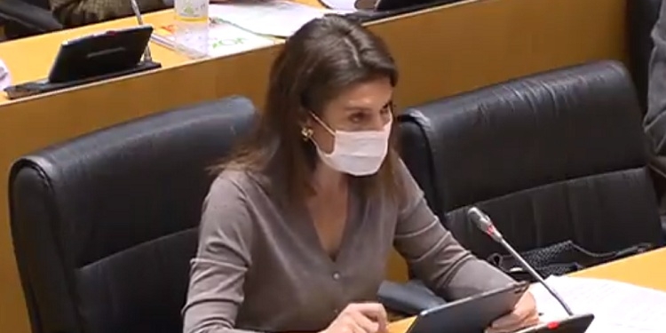 El Congreso condena la represión en Venezuela pero rechaza una acción judicial desde España