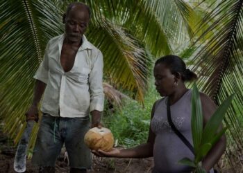 España aprueba créditos por 65 millones de euros para el desarrollo en América Latina y África