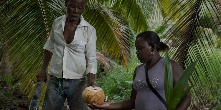 Spain approves loans for 65 million euros for development in Ibero-America and Africa