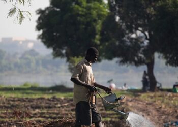 Government ratifies Spain-Niger Country Partnership Framework 2023-2027
