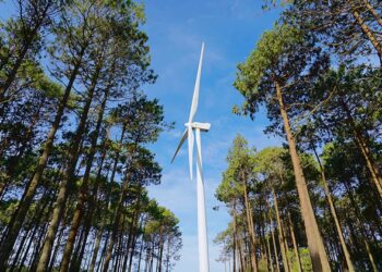 Iberdrola obtiene la autorización ambiental para construir un parque eólico de 274 MW en Portugal