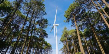 Iberdrola obtiene la autorización ambiental para construir un parque eólico de 274 MW en Portugal