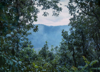 Casa de Mexico exhibits ‘In the navel of the moon’, by Miguel Soler-Roig