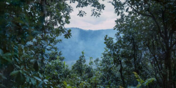 Casa de México expone ‘En el ombligo de la luna’, de Miguel Soler-Roig