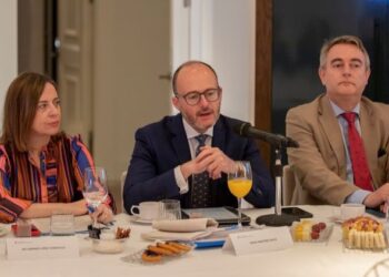 State Secretary for Commerce and the director of Casa de América join the Spain-USA Council