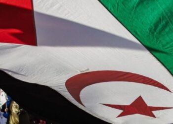 Eurodiputados de Sumar, Bildu y BNG piden el asilo para dos saharauis retenidos en Barajas