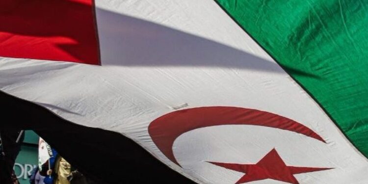 MEPs from Sumar, Bildu and BNG request asylum for two Sahrawis held in Barajas