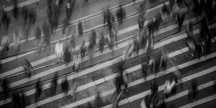 Innovación del CBD en la sociedad actual