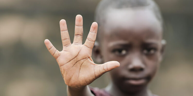 Xenofobia y racismo: del miedo al odio organizado