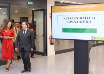 The Minister of Foreign Affairs chairs the Africa Roundtable charged with developing the new Strategy for the continent