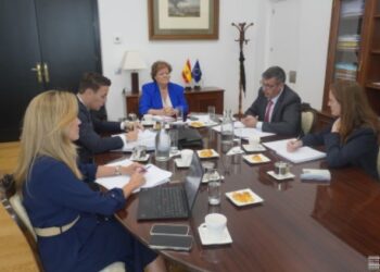 Spanish and EU Courts of Auditors analyze the audit of Next Generation funds