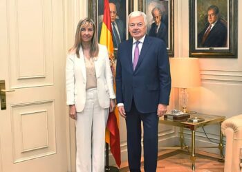 Reynders calls for various options for the reform of the election of the members of the General Council of the Judiciary