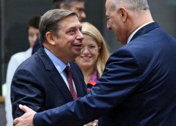 Planas urges the EU to conclude the agreement with Mercosur in a “prompt and balanced” manner