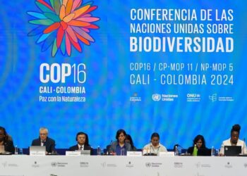 Spain, Colombia and Segib reactivate Ibero-American network of biodiversity directors