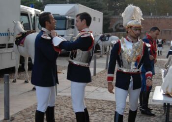 Seis nuevos embajadores podrán presentar Cartas Credenciales al Rey el 11 de noviembre