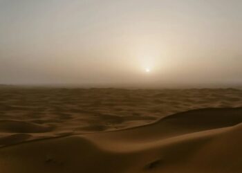 ¿Por qué alquilar coches es tan popular en los Emiratos Árabes Unidos?