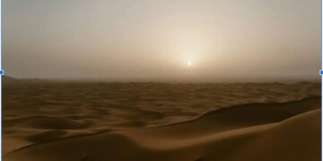 ¿Por qué alquilar coches es tan popular en los Emiratos Árabes Unidos?