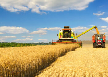 La producción agrícola de Andalucía fue la más alta de la UE en 2022 con 16.000 millones de euros