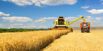 La producción agrícola de Andalucía fue la más alta de la UE en 2022 con 16.000 millones de euros