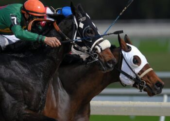 Apuestas y cultura: un viaje por las tradiciones de juego alrededor del mundo