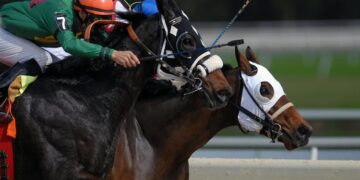 Apuestas y cultura: un viaje por las tradiciones de juego alrededor del mundo