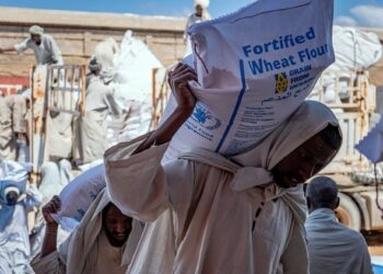 España aporta 1,5 millones de euros a la iniciativa de Zelenski para brindar alimentos a África