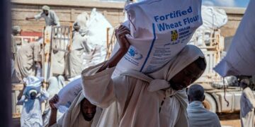 Spain contributes 1.5 million euros to Zelensky’s initiative to provide food to Africa