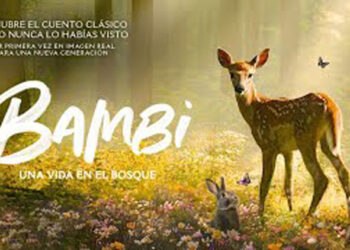 ‘Bambi, a life in the forest’, for the first time in real image