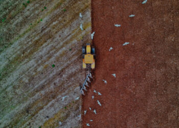 Casa Árabe: ‘Food insecurity in the Arab countries’