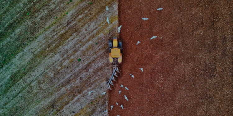 Casa Árabe: ‘Food insecurity in the Arab countries’