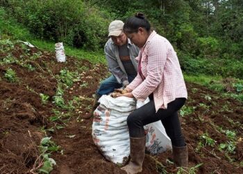AECID destinará 85 millones de euros a subvenciones para cooperación al desarrollo, acción humanitaria e innovación