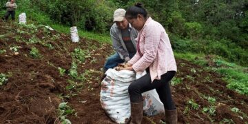 AECID will allocate 85 million euros to subsidies for development cooperation, humanitarian action and innovation