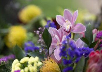 La fachada de la Fundación Casa de México se viste de primavera