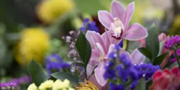 La fachada de la Fundación Casa de México se viste de primavera