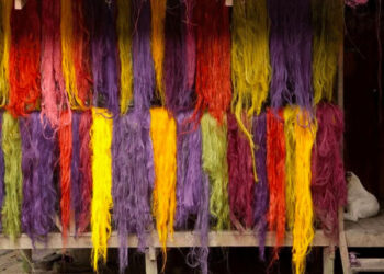 El Real Jardín Botánico-CSIC presenta la exposición ‘Color Amazonía’